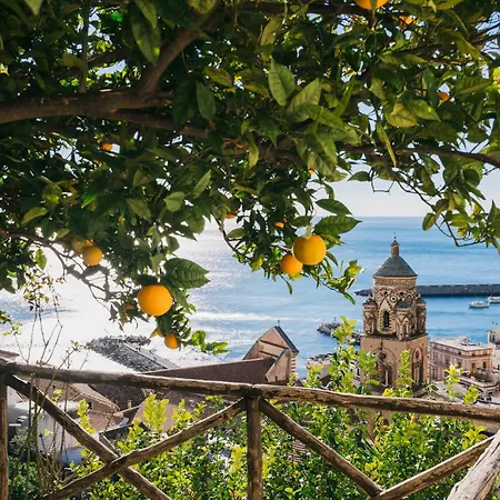 Rosario By Angelina * Amalfi